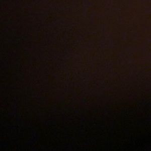 Meet your Posher, Bella